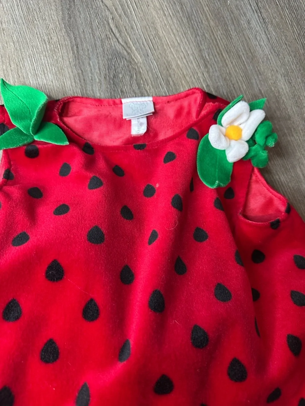Koala Kids Vtg Strawberry Costume - Red with Black Seeds embroidered leaf
